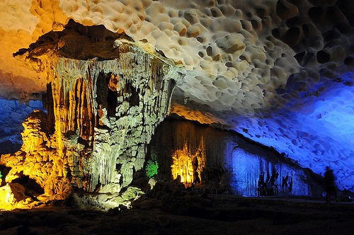 hang đầu gỗ quảng ninh